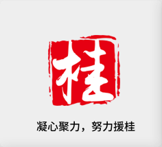 聚焦产业，努力援桂